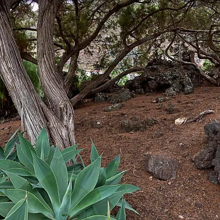 Sabinas Playa - El Guincho, Casa de Férias Garachico (Tenerife)