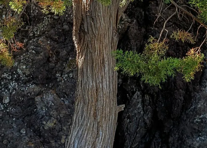 Sabinas Playa - El Guincho, *