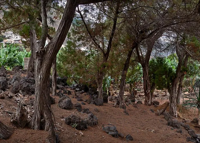 Sabinas Playa - El Guincho, Garachico (Tenerife)