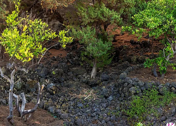 Sabinas Playa - El Guincho, Garachico (Tenerife)