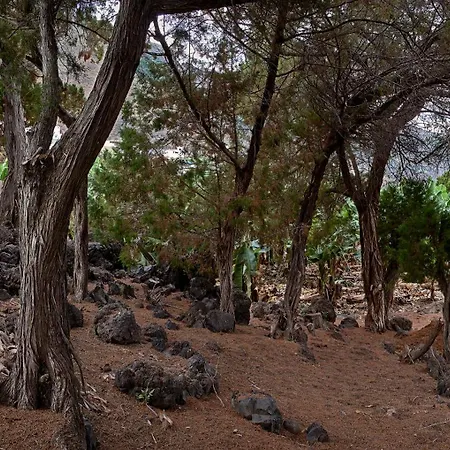 Sabinas Playa - El Guincho, גרצ'יקו