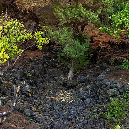 Sabinas Playa - El Guincho, Garachico (Tenerife)